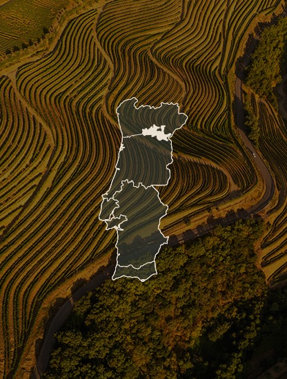 North of Portugal Douro Valley